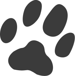 Paw
